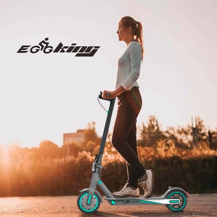 About Eggking