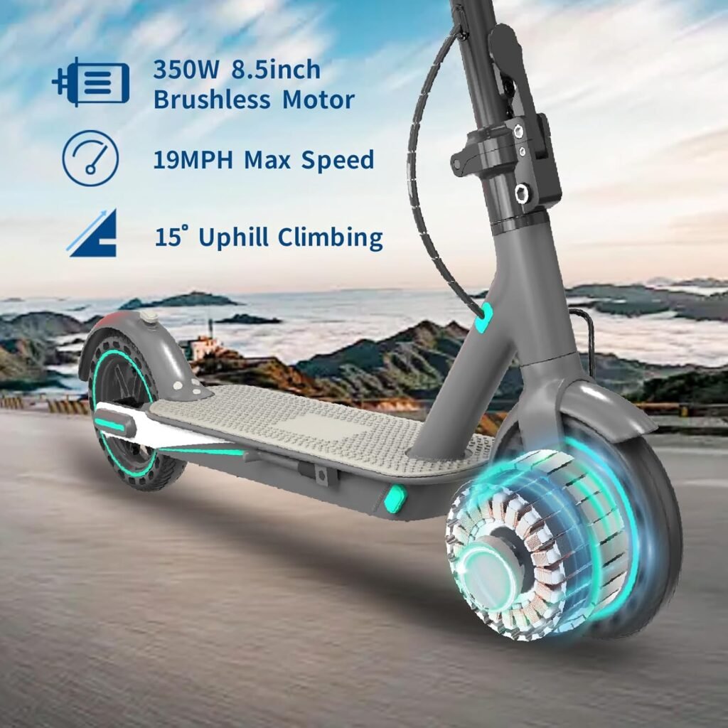 EGGKING V8 Electric Scooter 350W Motor